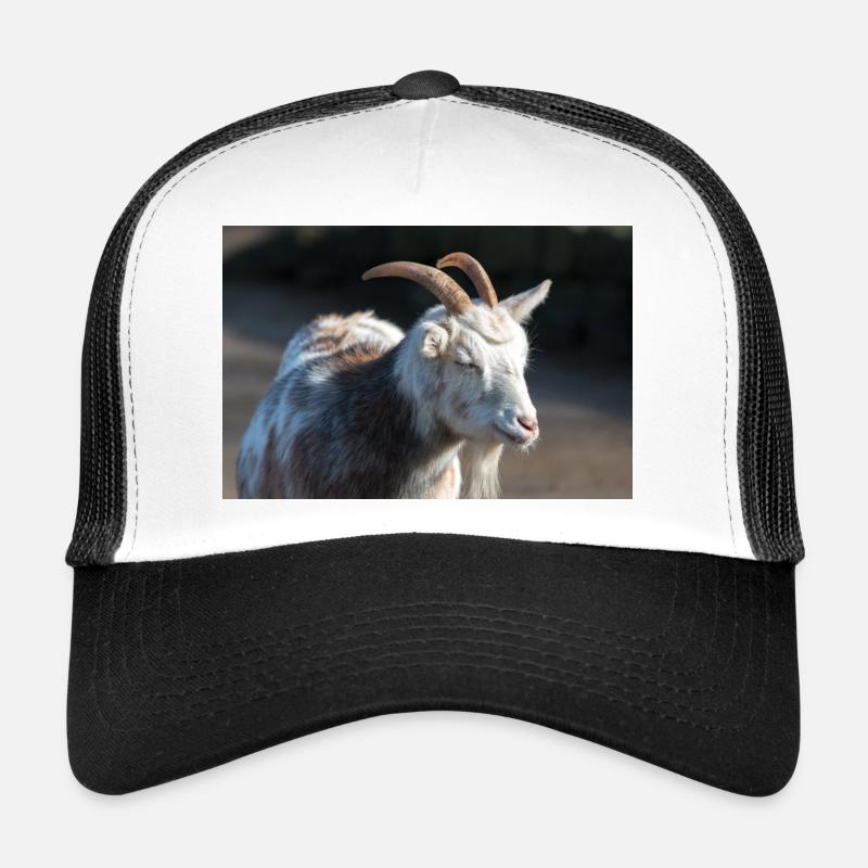 Dwarf Goat or Miniature Goat Zwergziege - Trucker Cap - white/black