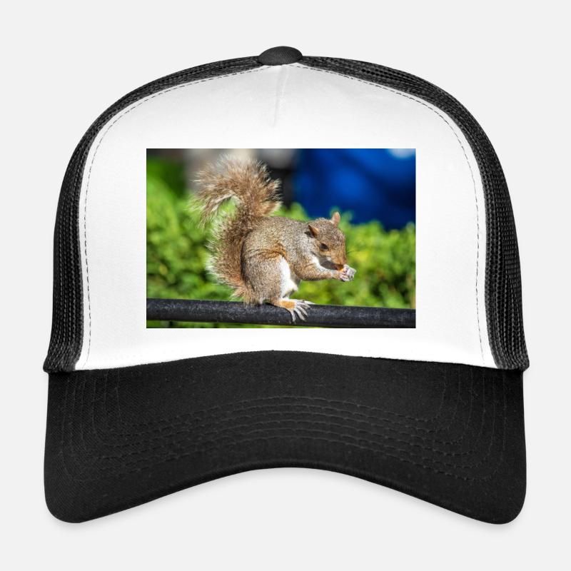 Eating Grey squirrel Grauhörnchen Sciurus carolin Trucker Cap