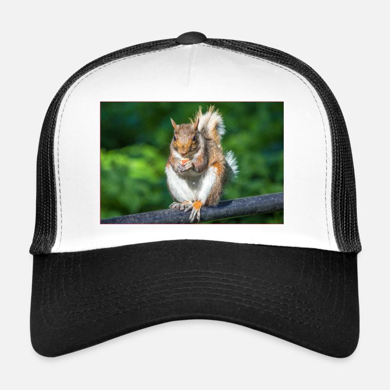Essen Grauhörnchen Grauhörnchen Sciurus caroline - Trucker Cap - Weiß/Schwarz