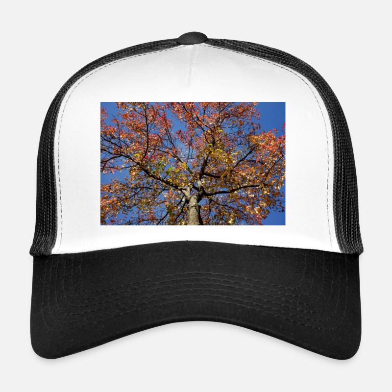 Érable Casquette trucker 
