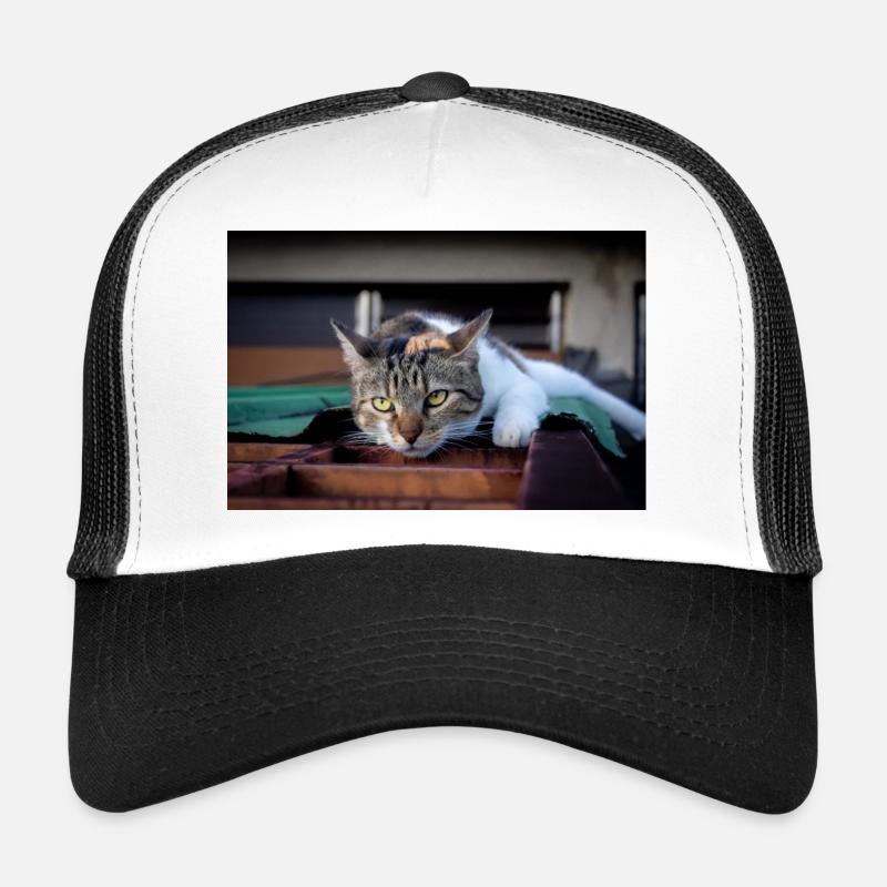 le chat Casquette trucker 
