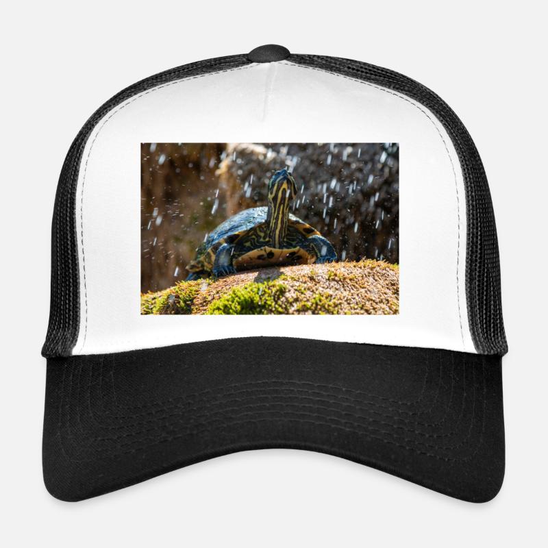 Gelbbauch-Slider Trachemys scripta scripta Trucker Cap