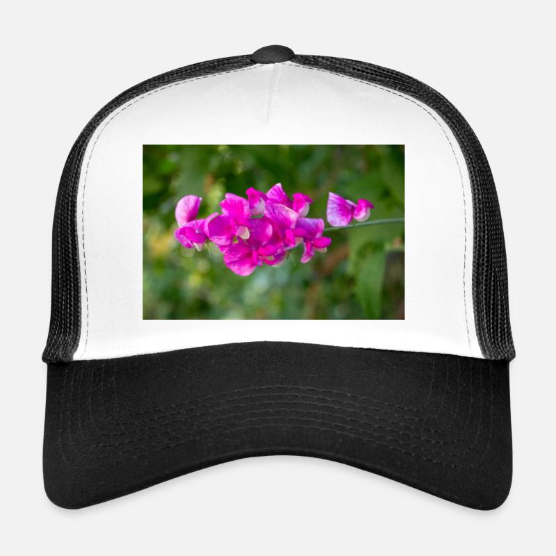 everlasting pea perennial pea Lathyrus latifolius Trucker Cap