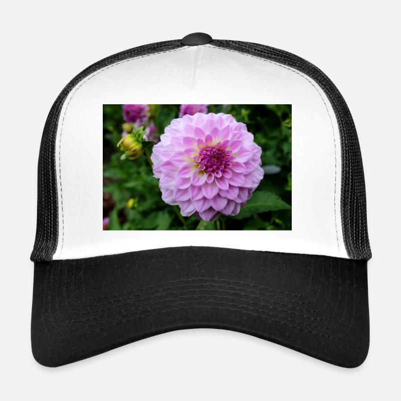 Dahlia rose rose fleur, fleur Casquette trucker 