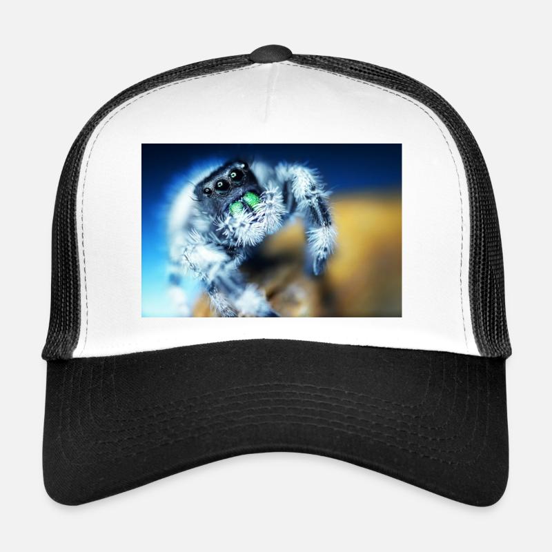 Araignée sauteuse, Phidippus regius, araignée sauteuse Casquette trucker 