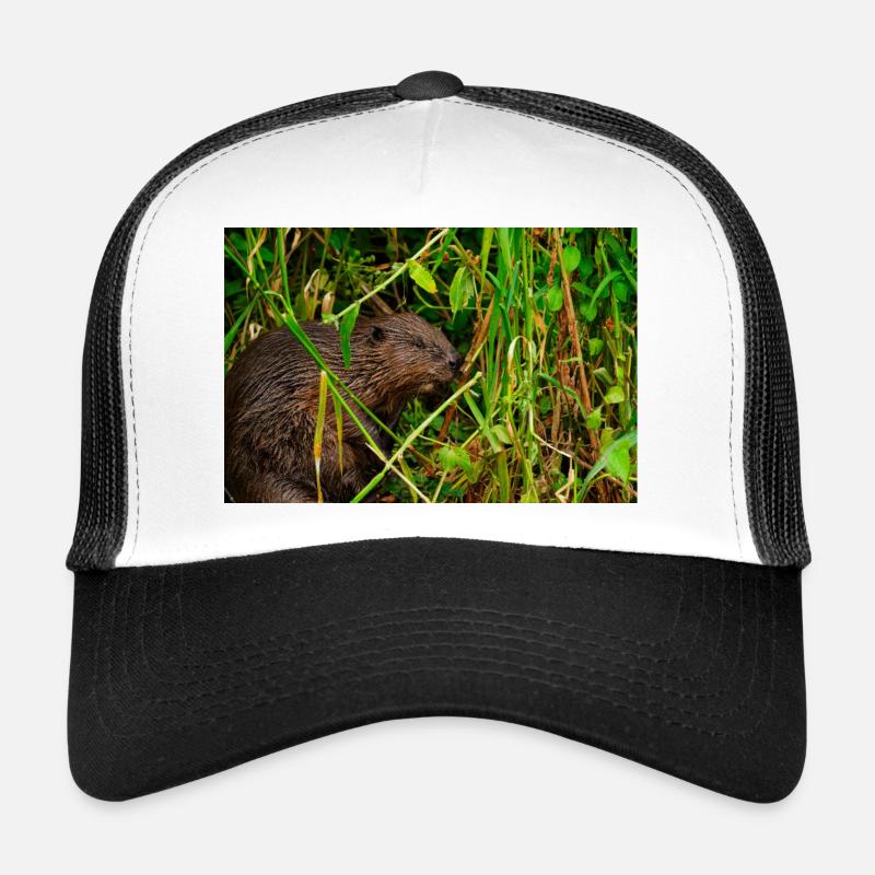 Beavers 2 - Trucker Cap - white/black