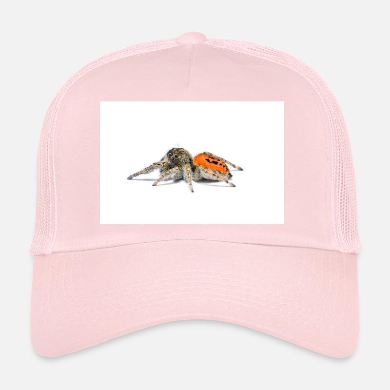 Springspinne Phidippus texanus jumping spider Trucker Cap