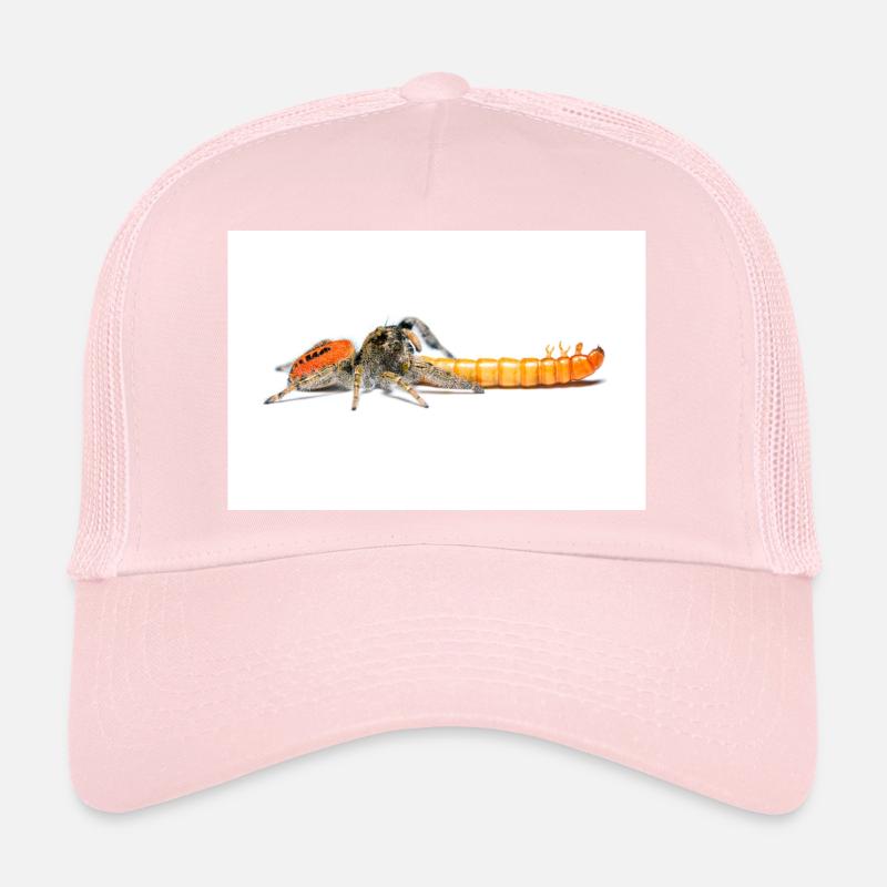 Araignée sauteuse Phidippus texanus araignée sauteuse Casquette trucker 