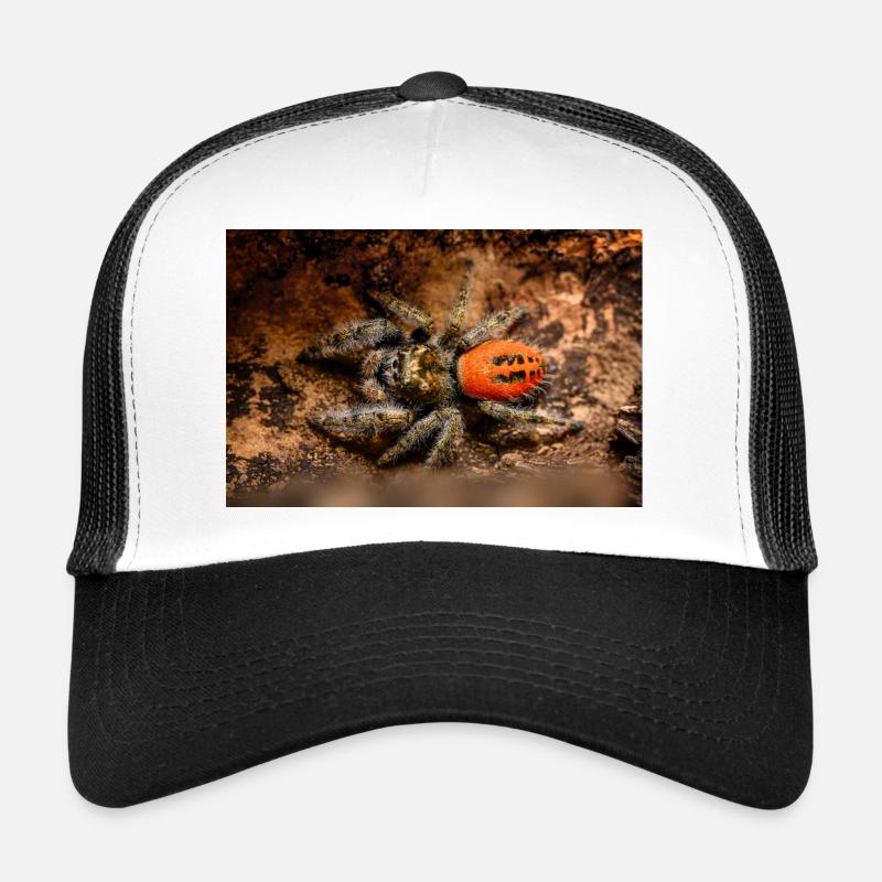 Araignée sauteuse Phidippus texanus araignée sauteuse Casquette trucker 