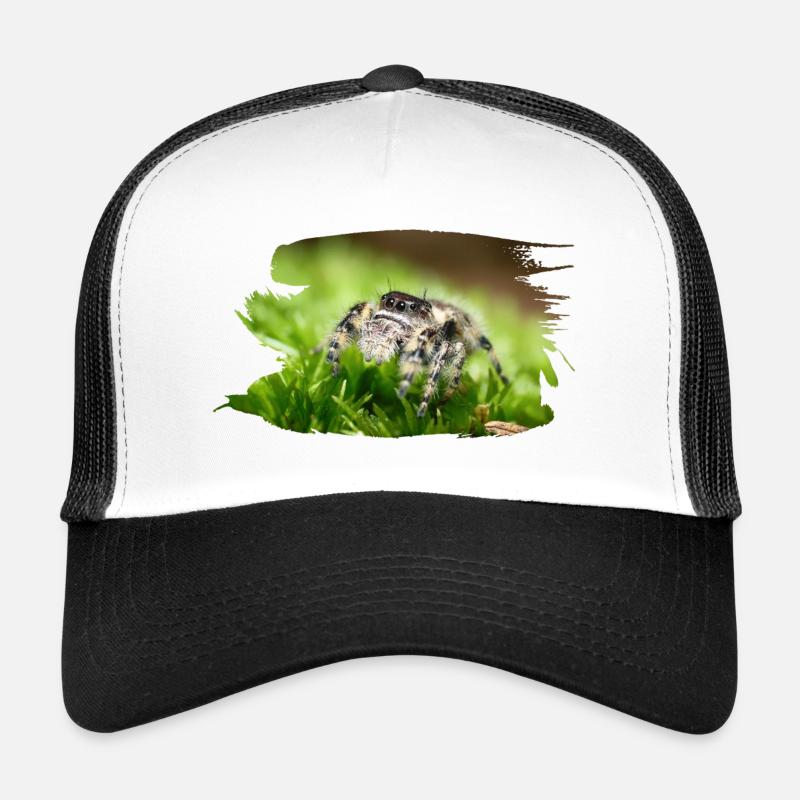 Phidippus bidentatus jumping spider spring spinne Trucker Cap