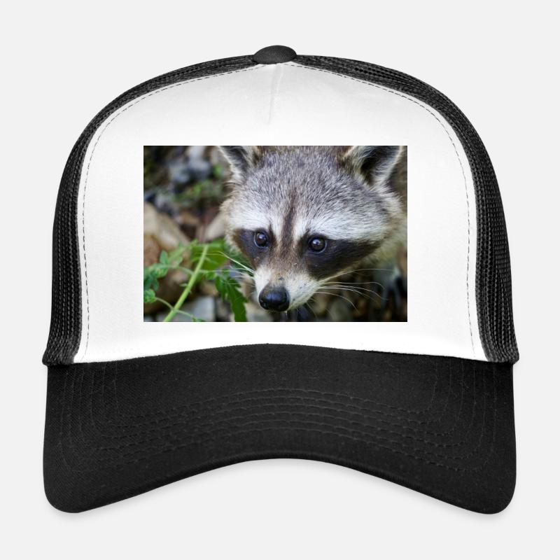Raton laveur Casquette trucker 