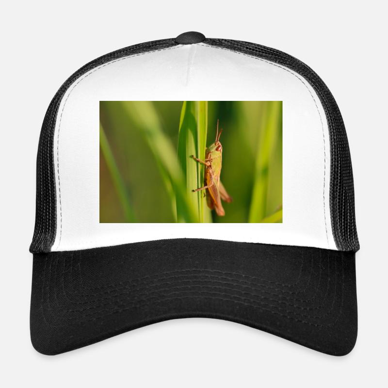 Cute grasshopper illustration on green - Trucker Cap - white/black