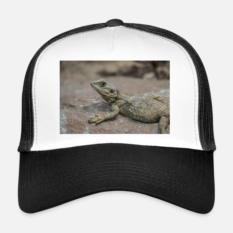Dragon barbu du désert sur rocher Casquette trucker 