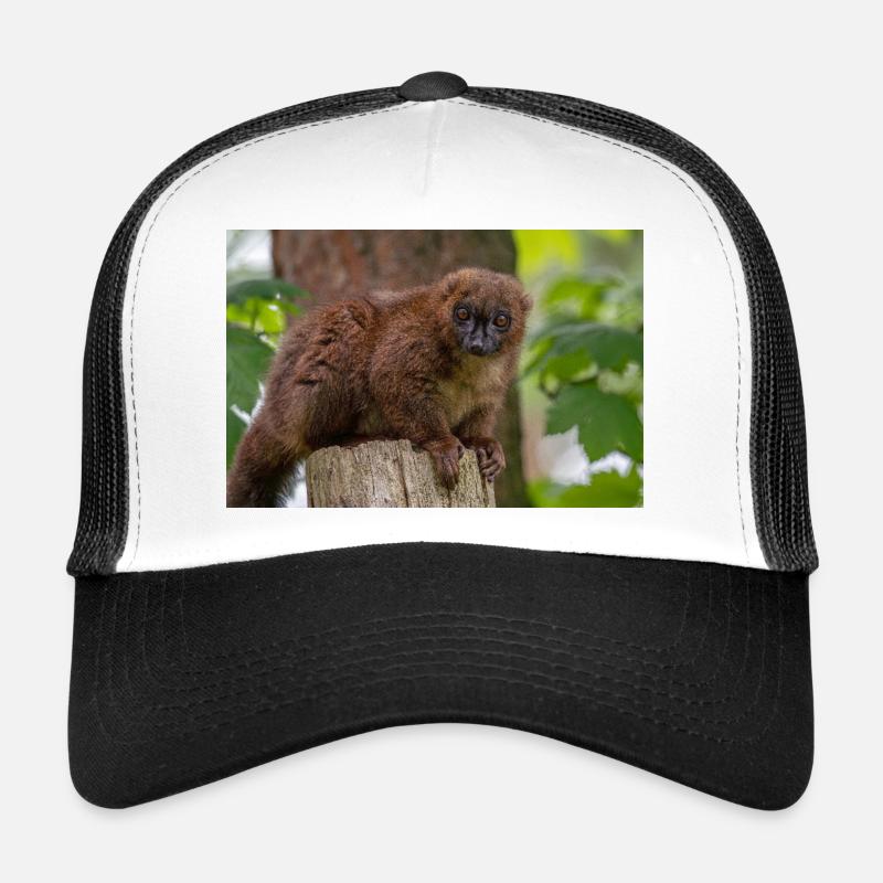 Singe Titi Rouge Casquette trucker 