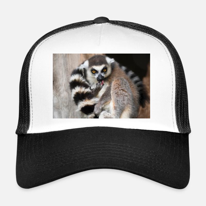 Lémurien au regard doré et queue rayée Casquette trucker 