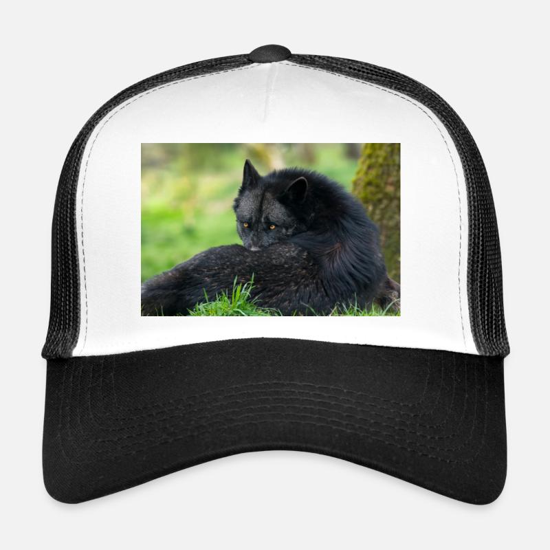 Black wolf at rest Trucker Cap