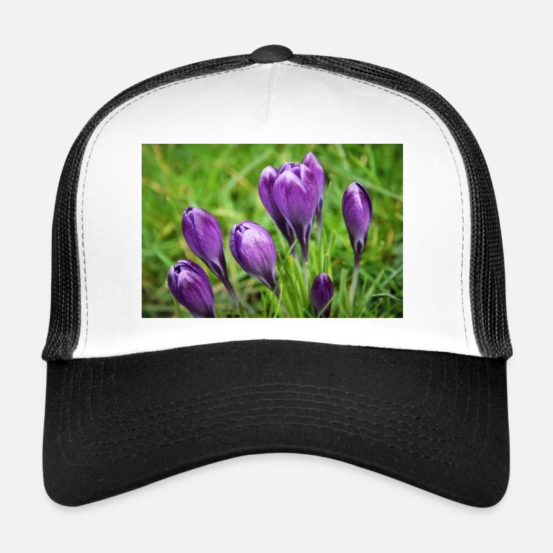 Purple Crocus Cluster im Frühlingsgarten Trucker Cap