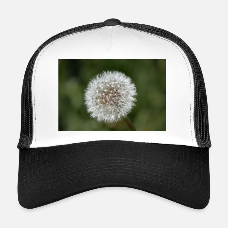 Gros plan d’un pissenlit - affiche. Casquette trucker 