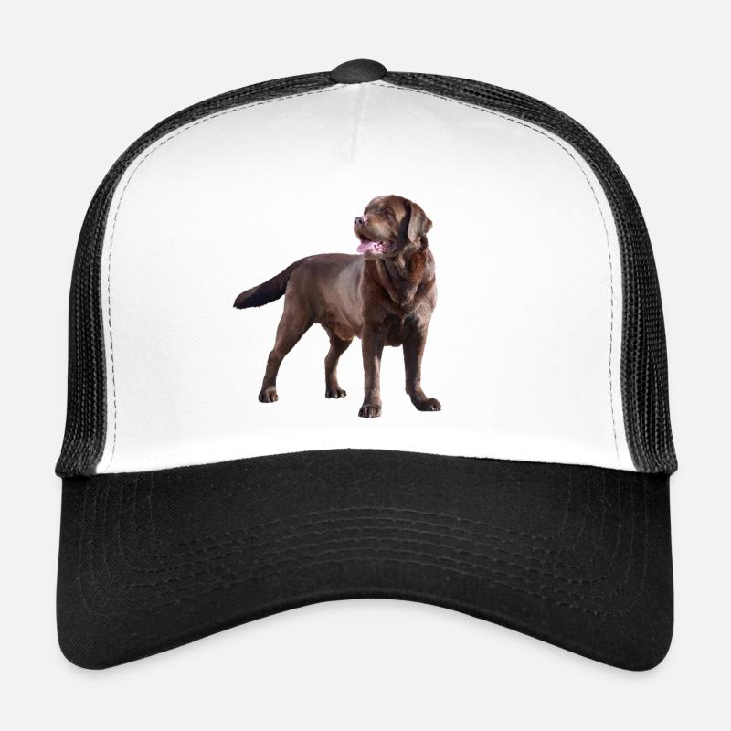 Labrador - Trucker Cap - Weiß/Schwarz