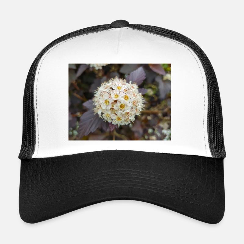 Physocarpus capitatus Blasenspiere Casquette trucker 