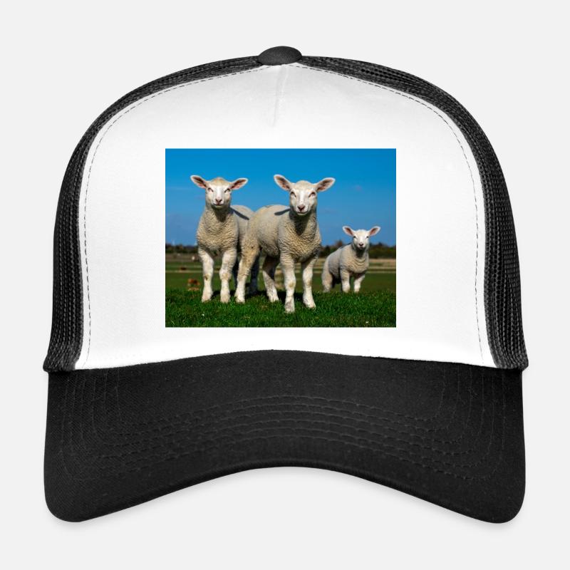 lambs in the pasture Trucker Cap