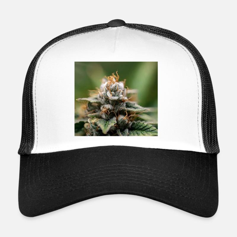 IMG 3674 Trucker Cap