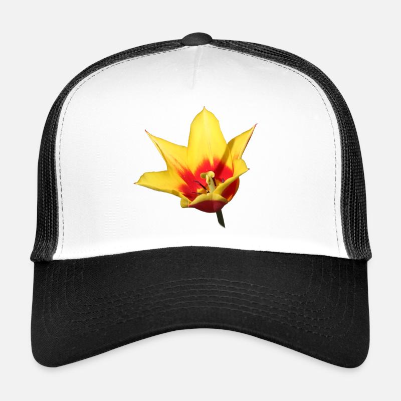 Tulip – Spring Awakening in Color Trucker Cap