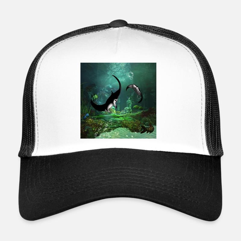 Superbe couverture de rayons sur les basses eaux Casquette trucker 