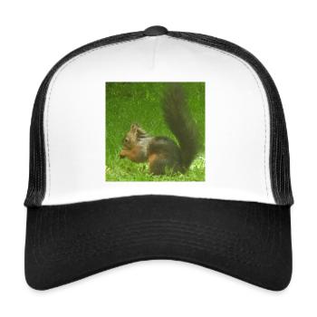 Eichhörnchen Tier Tierliebe Tierfreund Liebe - Trucker Cap - Weiß/Schwarz - Vorne