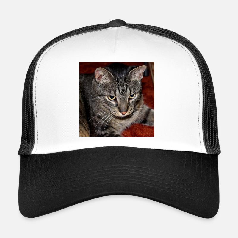 Cat Kitten Trucker Cap