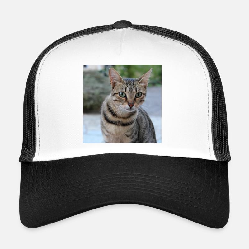 Chat chaton affiche chat carré affiche Casquette trucker 