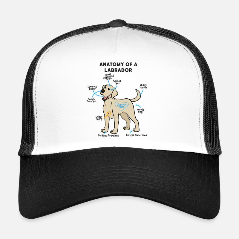 Anatomie Eines Labrador Trucker Cap