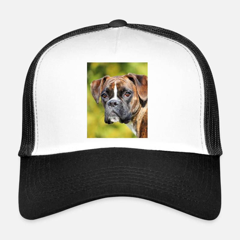 Porträt Boxer Tiefer Blick Trucker Cap