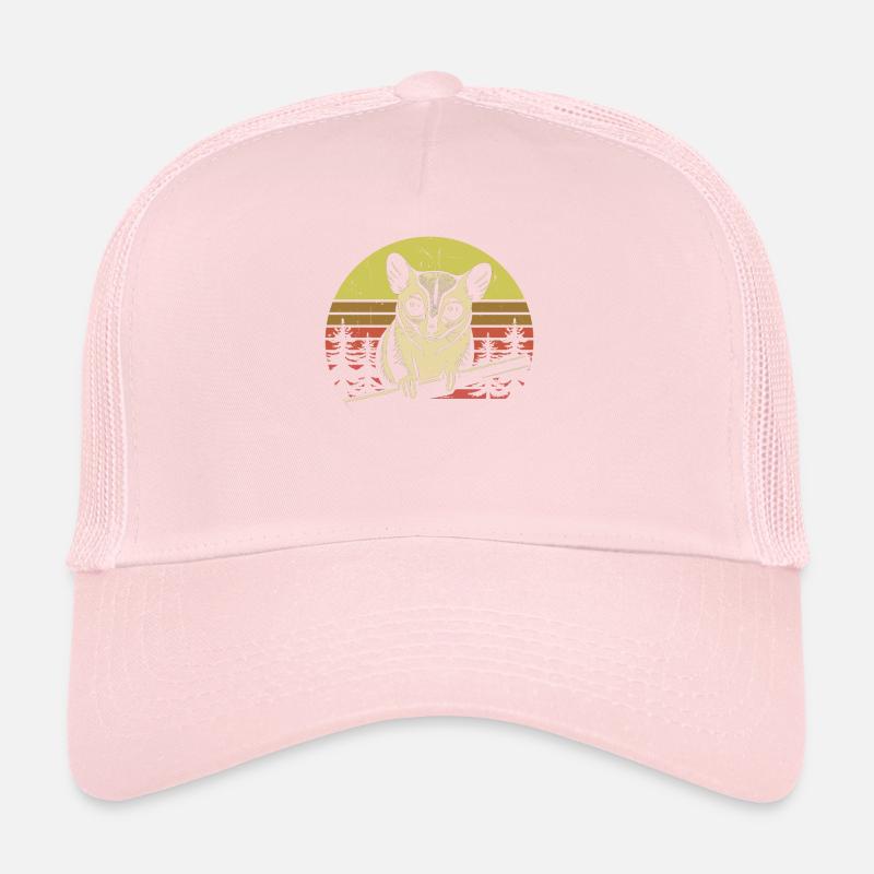 Planeur de sucre Écureuil volant Casquette trucker 