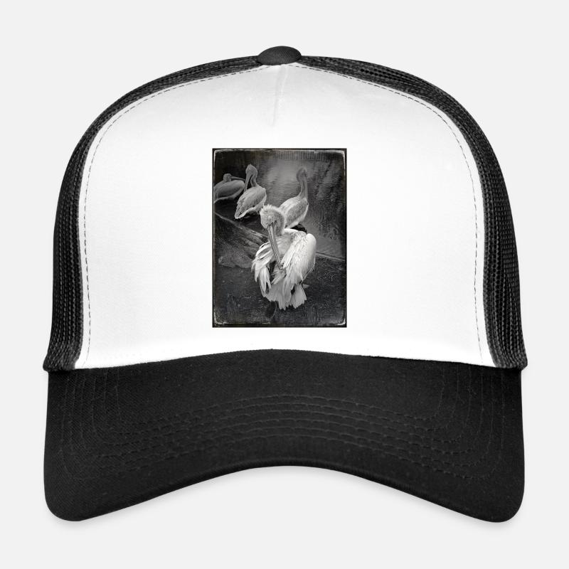 Dark Pelicans Trucker Cap