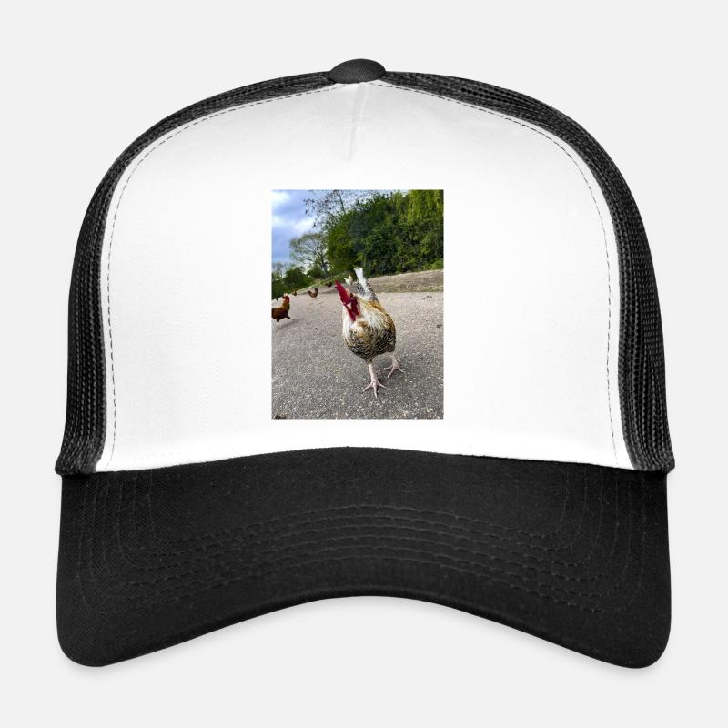 Are you a Chicken?? Trucker Cap
