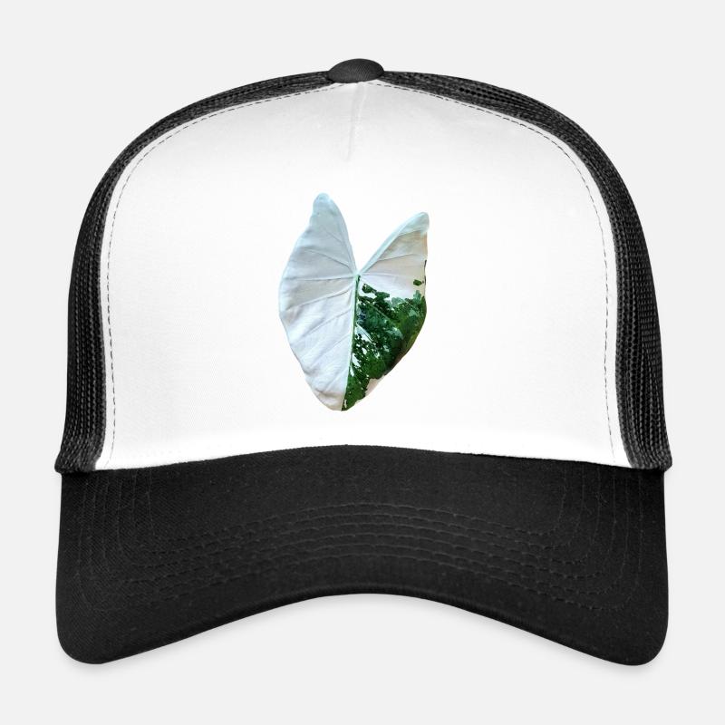 alocasia macrorrhizos variegata _ نبات ألوكاسيا - Trucker Cap - white/black