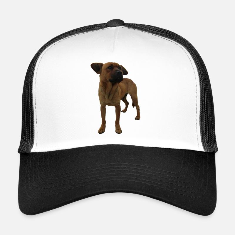 Dog - Trucker Cap - white/black