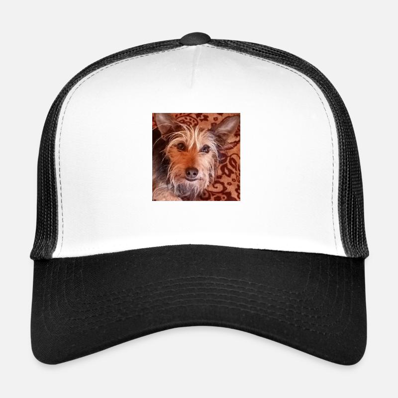 Yorkshire terrier chien mignon de race mixte Casquette trucker 