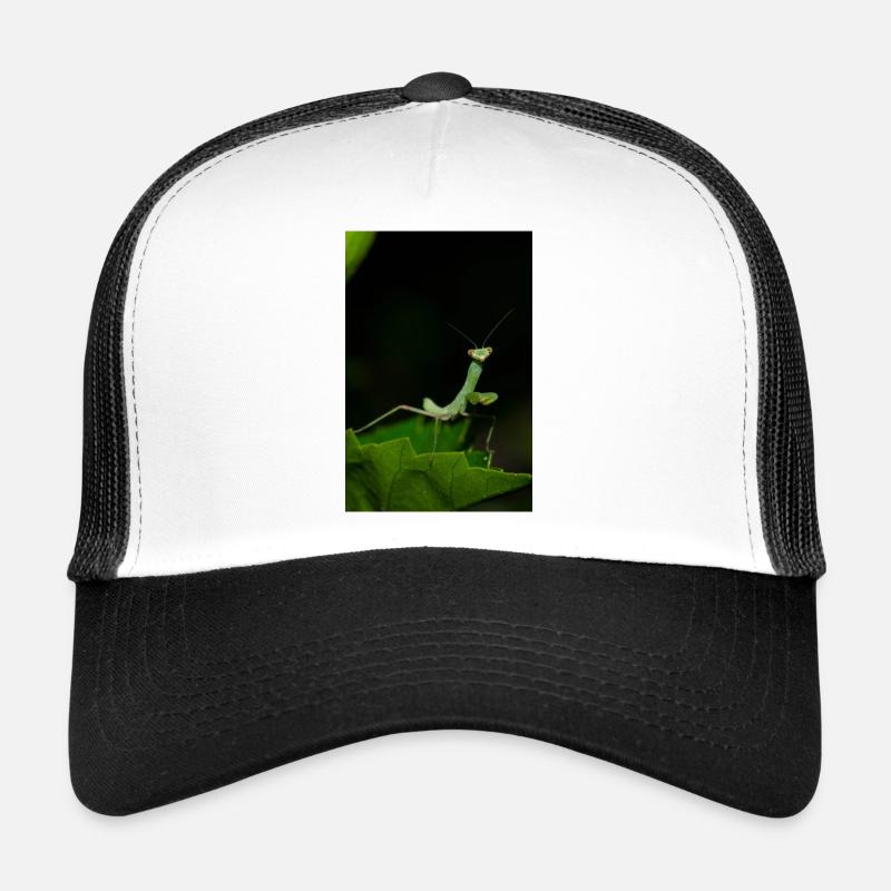 Wild Mantodea species in Crete Trucker Cap