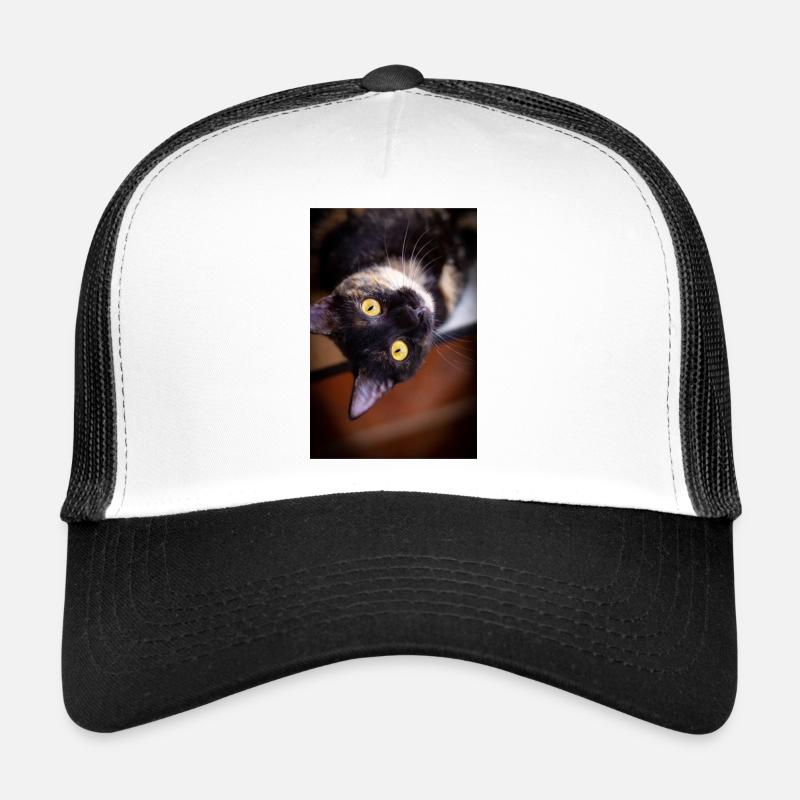 the cat Trucker Cap