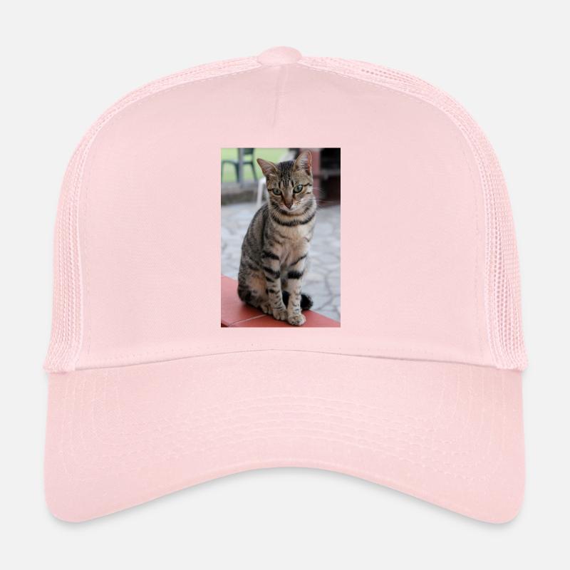 Chat Chaton Poster Chat Poster Casquette trucker 