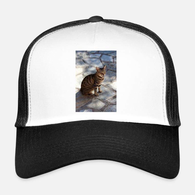 Katze Kätzchen Trucker Cap
