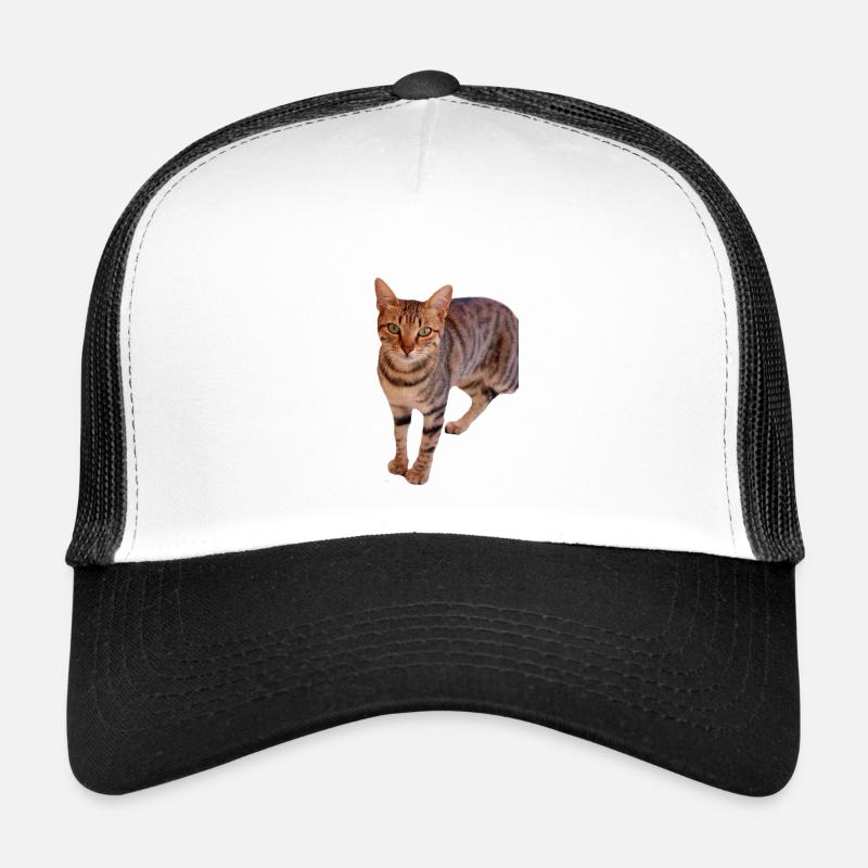 Chaton chat Casquette trucker 