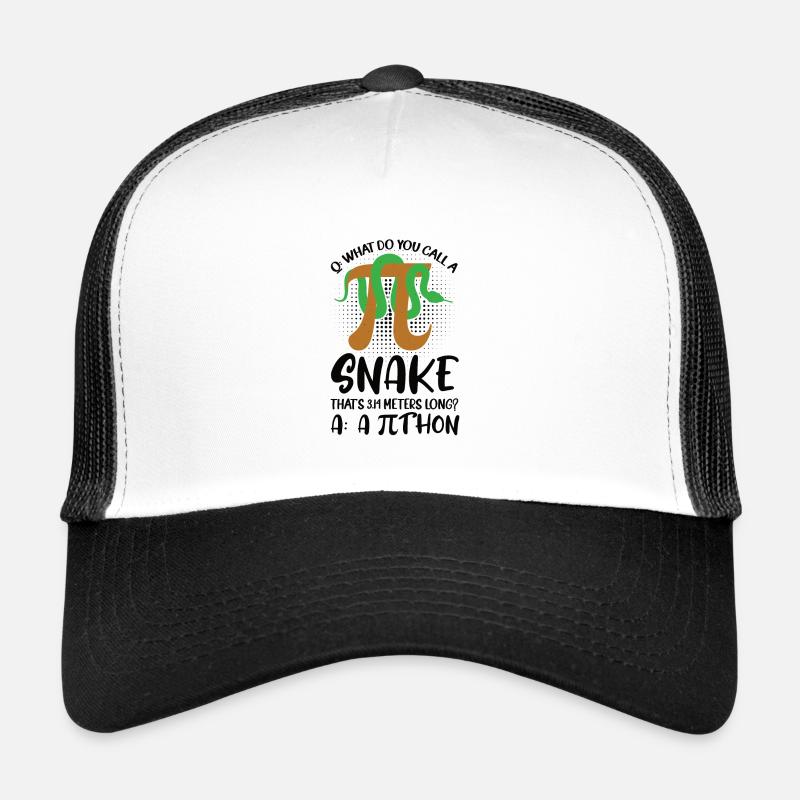 Mathematician Math Teacher Pi-Tag Snake Trucker Cap