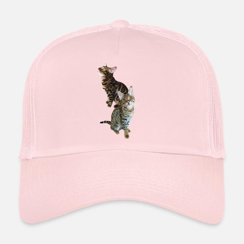 Tabby Trucker Cap