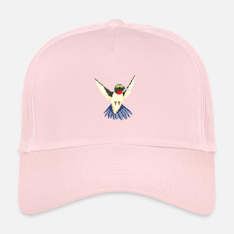 Kolibri Seglervögel Vögel Vogel Tier Geschenk Trucker Cap