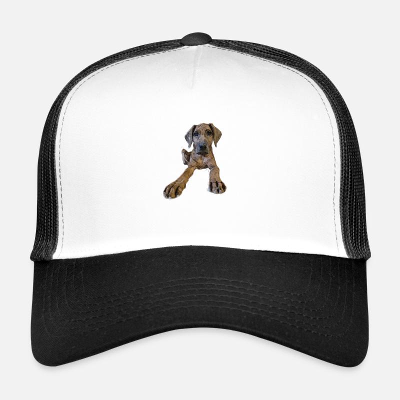Hundewelpe mit neugierigem Blick Trucker Cap