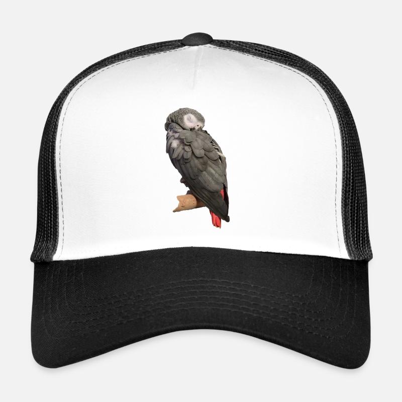 Perroquet gris oiseau endormi Casquette trucker 