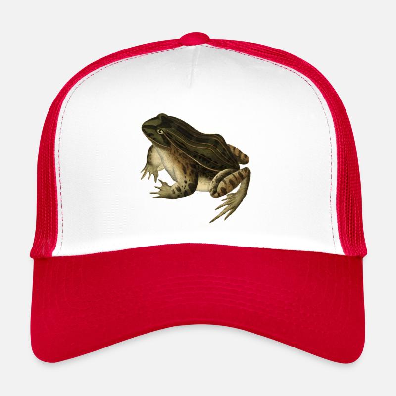 frog toad toad frog illustration drawing vintage Trucker Cap